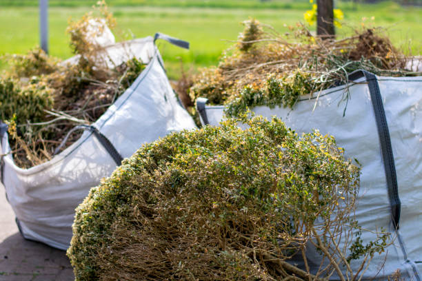 Best Full-Service Junk Removal  in Shanor Northvue, PA